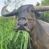 minhthai_1803