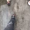 suety44