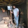 dilbo1212