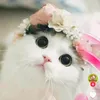 diem_my000789
