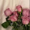 yarwnh6
