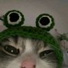 mariamelebshehy5