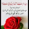 safa84684