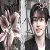 aczel_adry