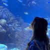 gunii_41