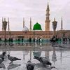 shahzebmansh