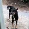 itdc_6