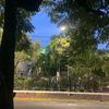 🇩🇴 Quisqueya la Bella