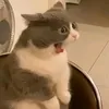 fff__95