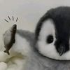 renn_hh