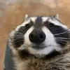 mapacheytal