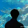 fahimzuhairi1