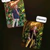 quin.jh