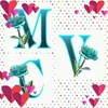 karo33669