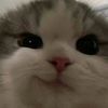 alondra_jks