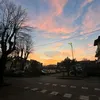 7_.saa._7