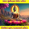 dinusha7044