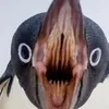 bebrikus33