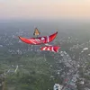 long_dieusao