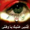 adil49614