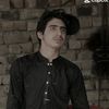 malikmujahid9440