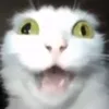 _nish1mvriki