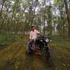 mehediislam103