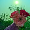 erisha802