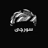hama_cars5