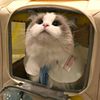 bublebath_
