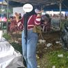 sila.cnttk