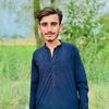 hamzaalee01