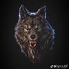 _wolf_428