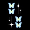 sidr4a_xan88
