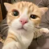 kendzkhoaito_08