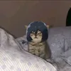 azztkxx