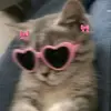 .yxwjqr