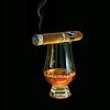 lency319