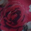 siam_lontsun