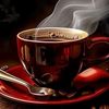 www.tiktok.comandrusha