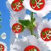 md.liton4592