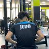 zoro1141vjo