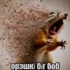 spino_saur32