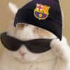 mohamed152795