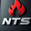 n.t.s.....1