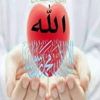 eliasabajihad