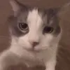 lujkso_o