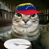 te_sigo_en10secundos