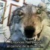 makariorodrige