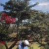 mwangi_08